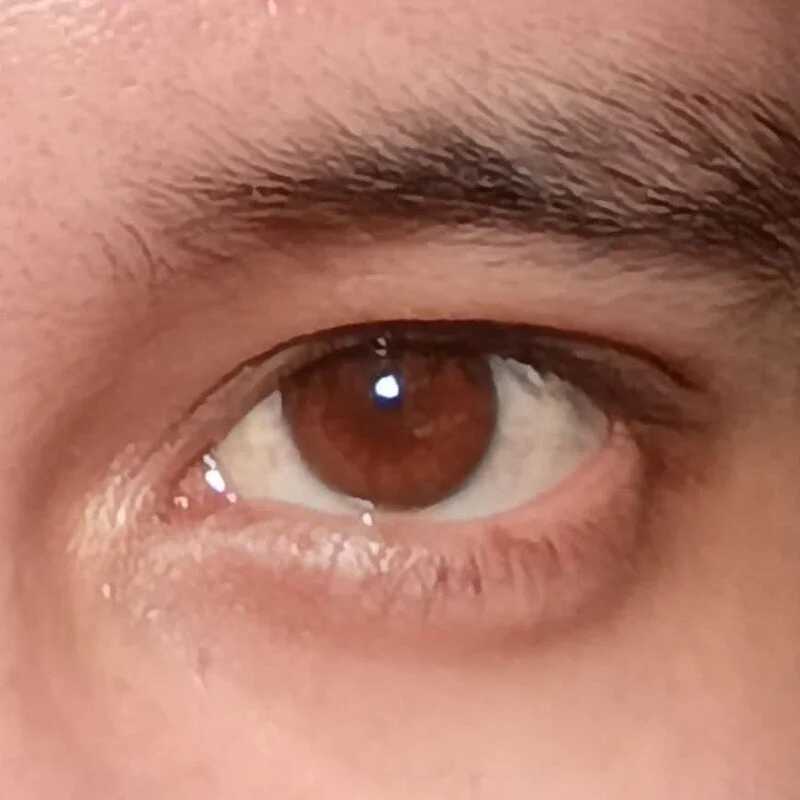 YourAsianSlave — FansOnlyX creator profile