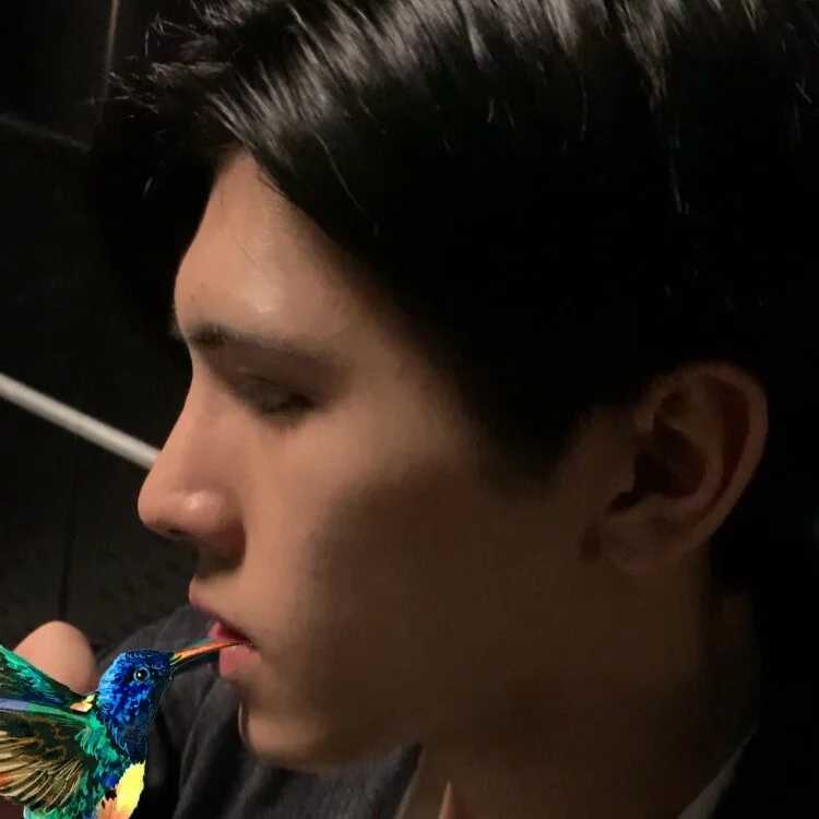 Lio_kun — FansOnlyX creator profile