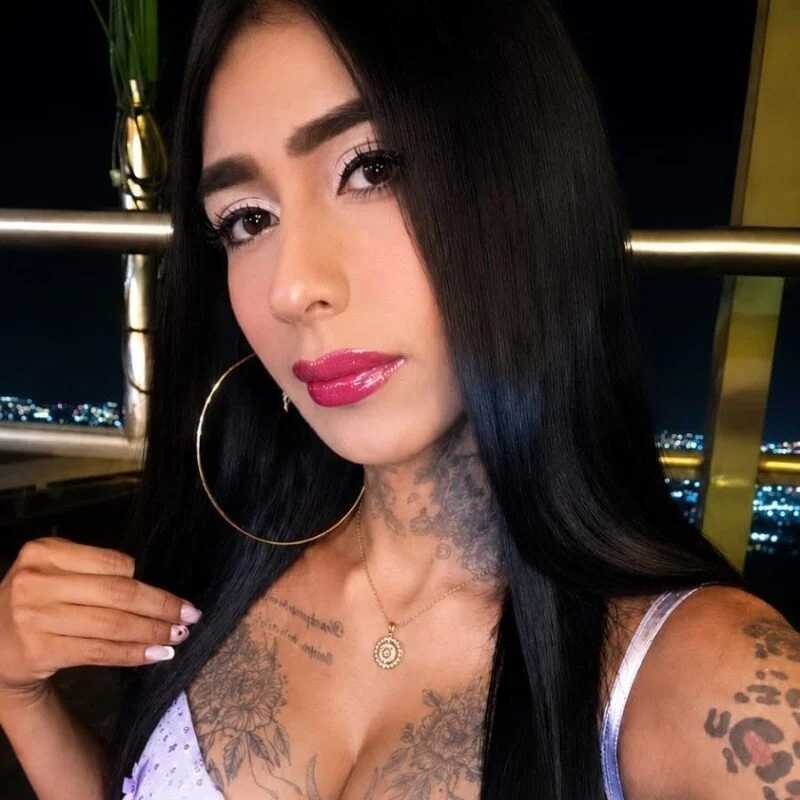 vayolettatto_bigass — FansOnlyX creator profile