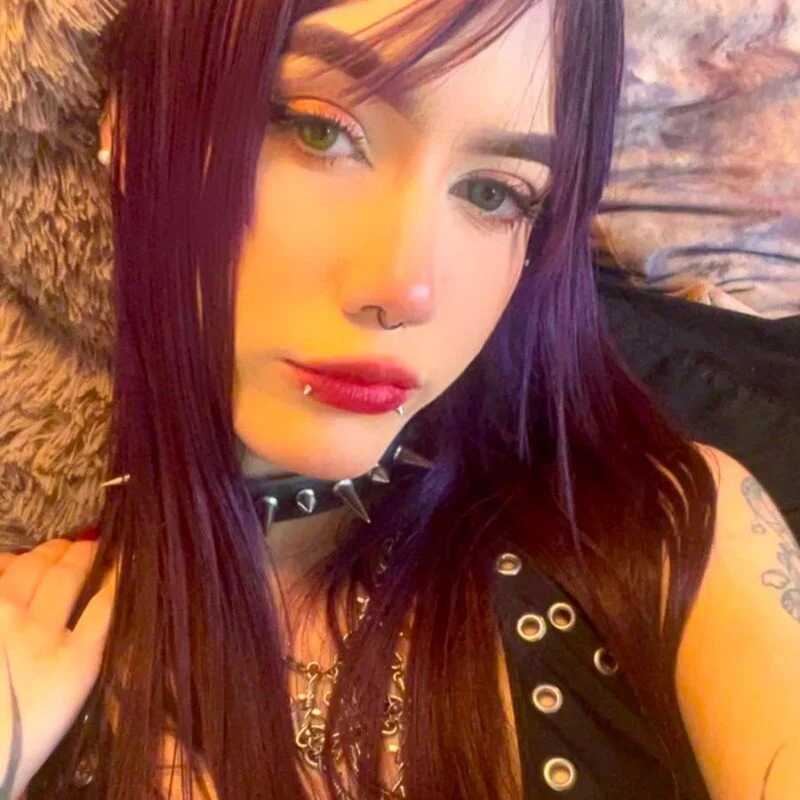 scarlet_scar — FansOnlyX creator profile