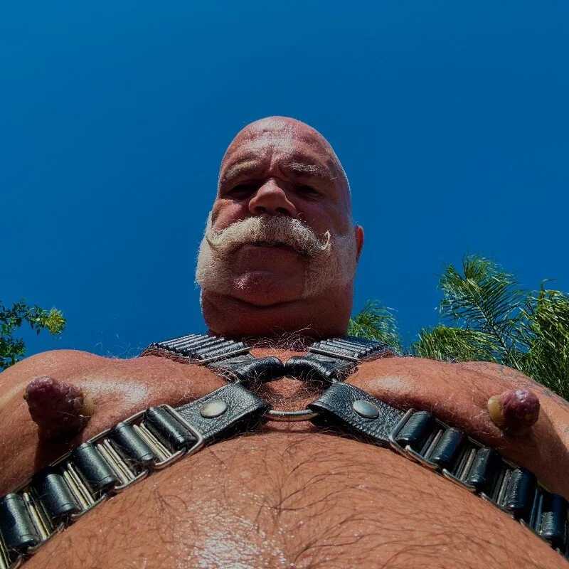 musclebearnips — FansOnlyX creator profile