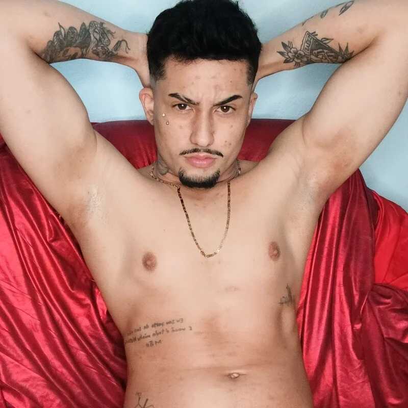 Boytranoroxa — FansOnlyX creator profile