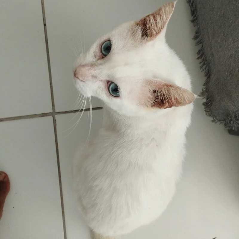 Mau1Mau — FansOnlyX creator profile