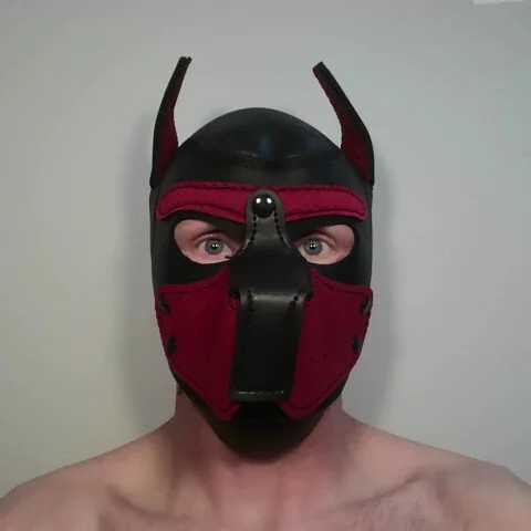 porn_bdsm — FansOnlyX creator profile