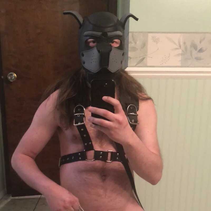 kinkywolf429 — FansOnlyX creator profile