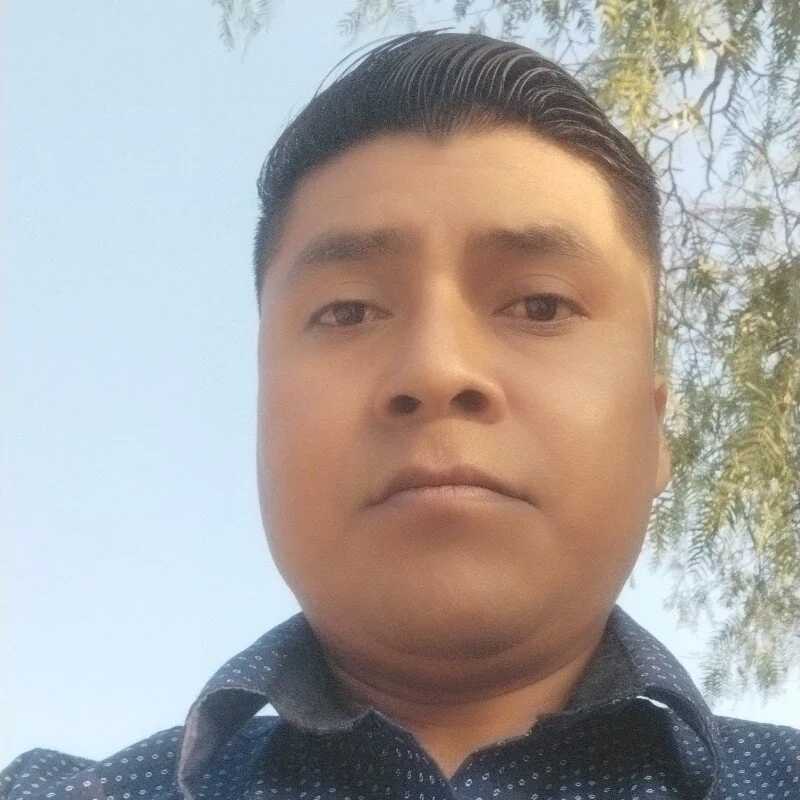 Alexgato69 — FansOnlyX creator profile