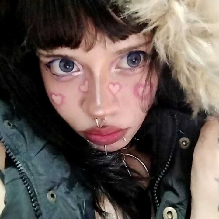hachi_kitty — FansOnlyX creator profile