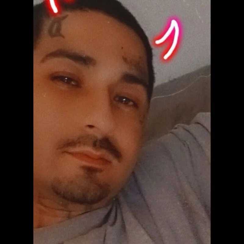 Cloudy_perv_boy — FansOnlyX creator profile