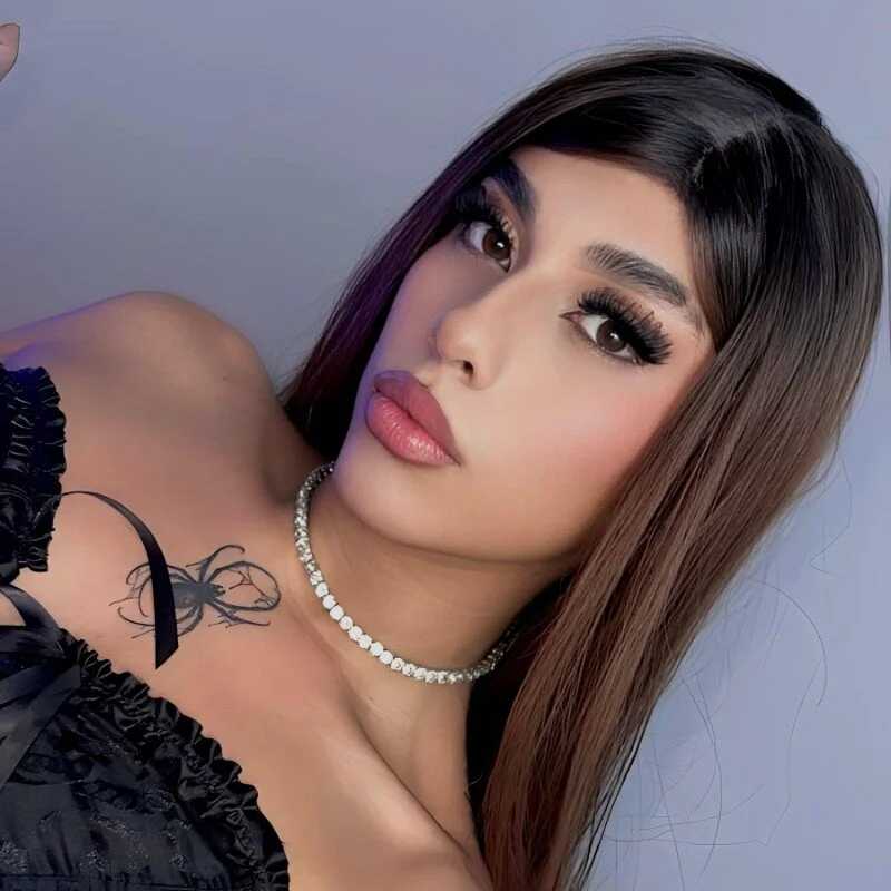 Ari_Miaxx — FansOnlyX creator profile
