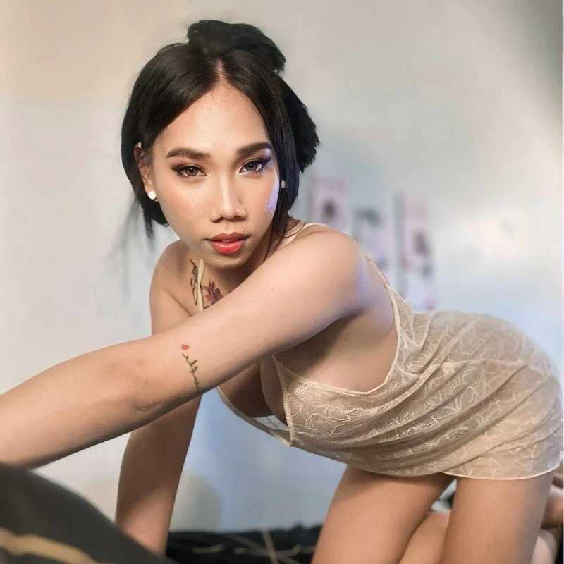 SexyAsianCockTS — FansOnlyX creator profile